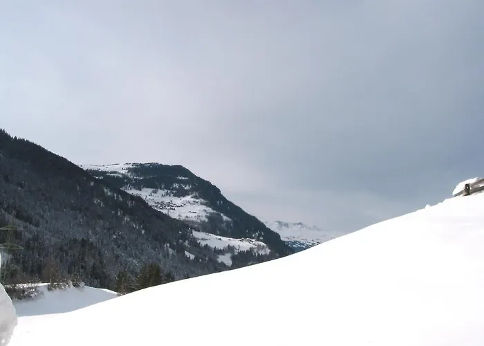 Tanno By Interhome Daire